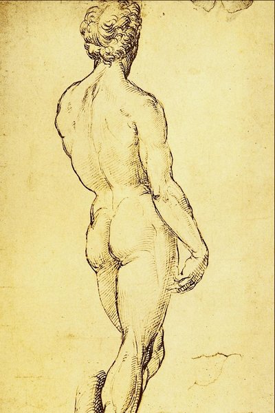 Study of Nude by Raffaello Sanzio Raphael
